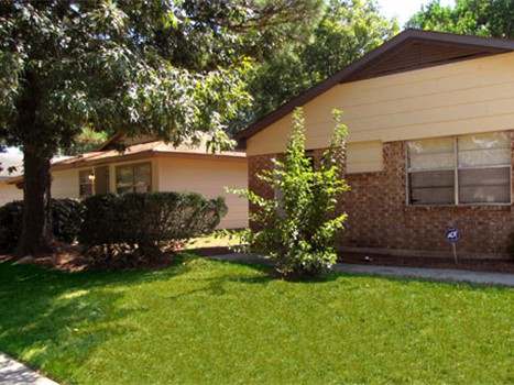 picture11
